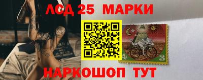 гидропоника Кингисепп